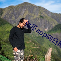 丝瓜app向日葵app绿巨人