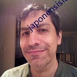 japonensisfes老师