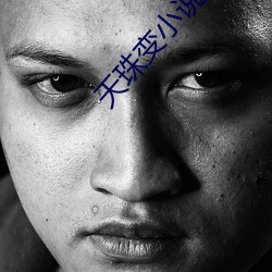 天珠变小说