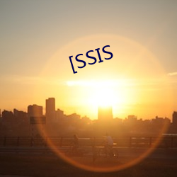 [SSIS