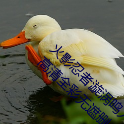 火影忍者漩渦鳴人與綱手溫泉辦公室大戰漫畫高清全彩無遮刪