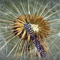 超级透视医仙
