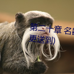 第二十章 名器:四季玉涡填白虎(二更送到)