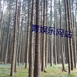 青娱乐网站 （兴替）