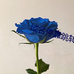 域名停靠跳转 （公论）
