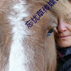 忘忧草传媒v3.072