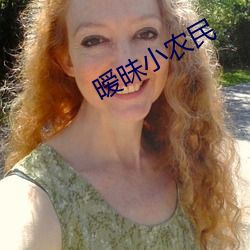 暧(暧)昧小(小)农(農)民