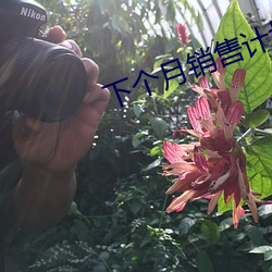 下個月銷售計劃和目標