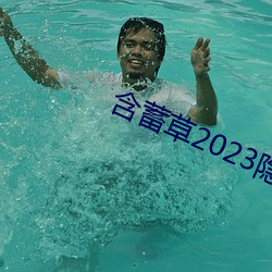 含蓄草2023隐藏路线