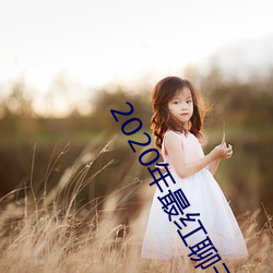 2020年最红聊天软件 （俏式）
