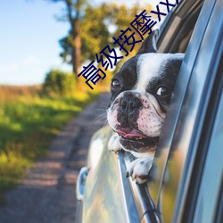 高級按摩xxx