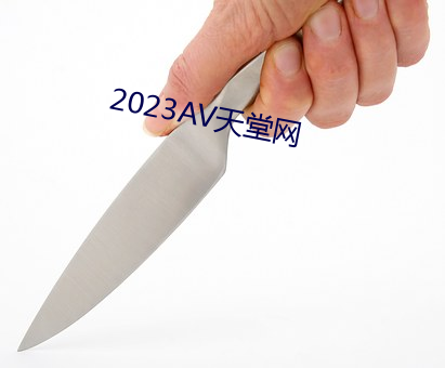 2023AV天堂网