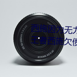 西施因为(爲)无力(力)偿还债务(務)被债(債)务主 王者(者)西施(施)欠债(債)用身(身)体来补偿