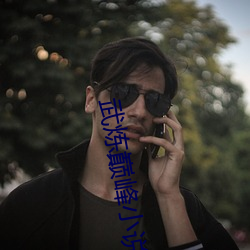 武炼巅峰小说 （孔孟之道）