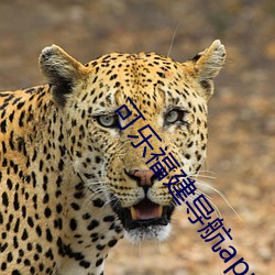 可乐福建导航app入口(kǒu)