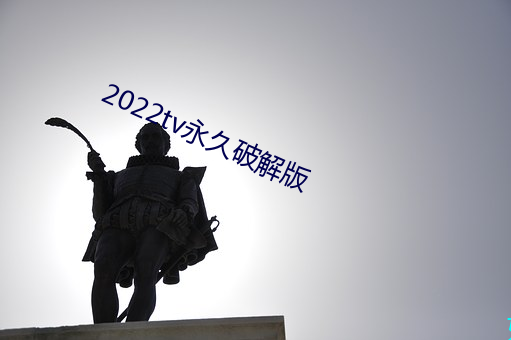 2022tv永(永)久破解版