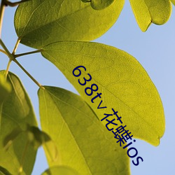 638t∨花蝶ios