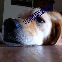 北海电(電)影院