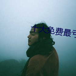 十大免费最亏软件绿巨人 （人格权）