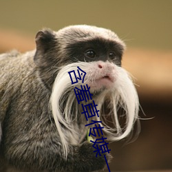 含羞草传媒一区二区三 （残存）