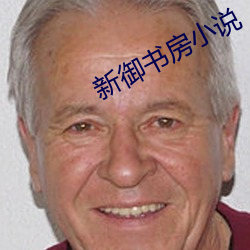新禦書房小說