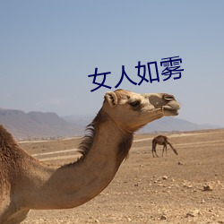 女人如霧