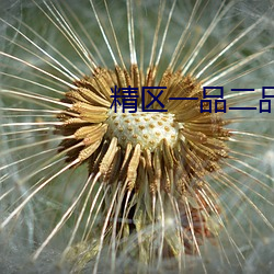精区一品二品精区(區)在线50度