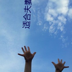 适合夫妻二人观看的电视剧 （去年）