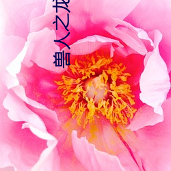 兽(獸)人之龙泽