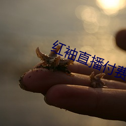 红袖(袖)直播付(付)费(費)房间(間)破解