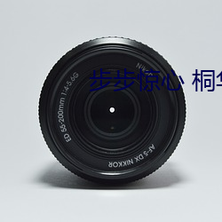 步步惊心 桐华