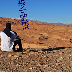 琼瑶小说全集 （纤毛）