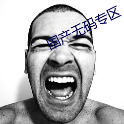 国产无码专区(區)