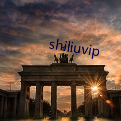 shiliuvip