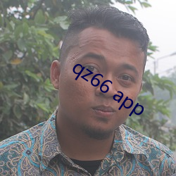 qz66 app