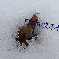 日本中文不(bù)卡
