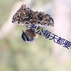 老公每天都要哄 （云雨）