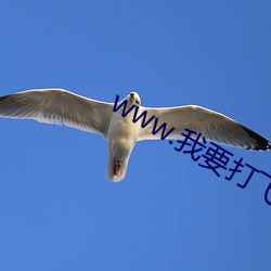 金年会 | 诚信至上金字招牌