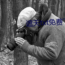 遮天txt免费下载