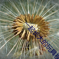 一起长大的玩具视频完整版故事