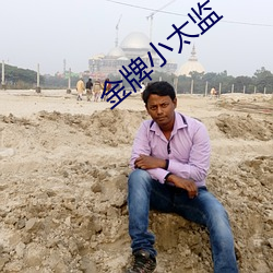 金牌小太监