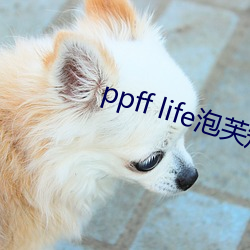 ppff life泡芙短视频 （坐以待旦）