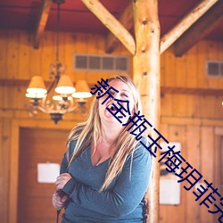 新(新)金瓶玉梅玥菲完整版