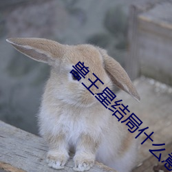 王(王)星结局(局)什么意思