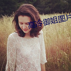 高冷御姐图片