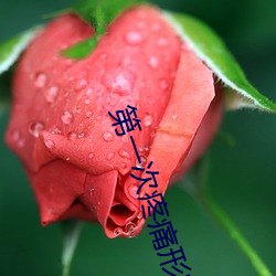 第一次疼痛形(形)容(容)一(一)下(下)