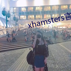 xhamsters官网入口