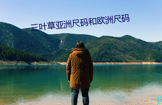 三叶草亚洲尺(尺)码(碼)和欧(歐)洲尺(尺)码