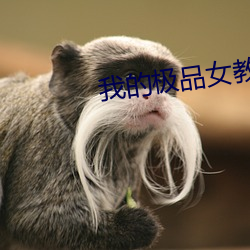 我的极品女教师