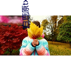 白鹿(鹿)原txt